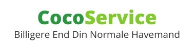 CocoService